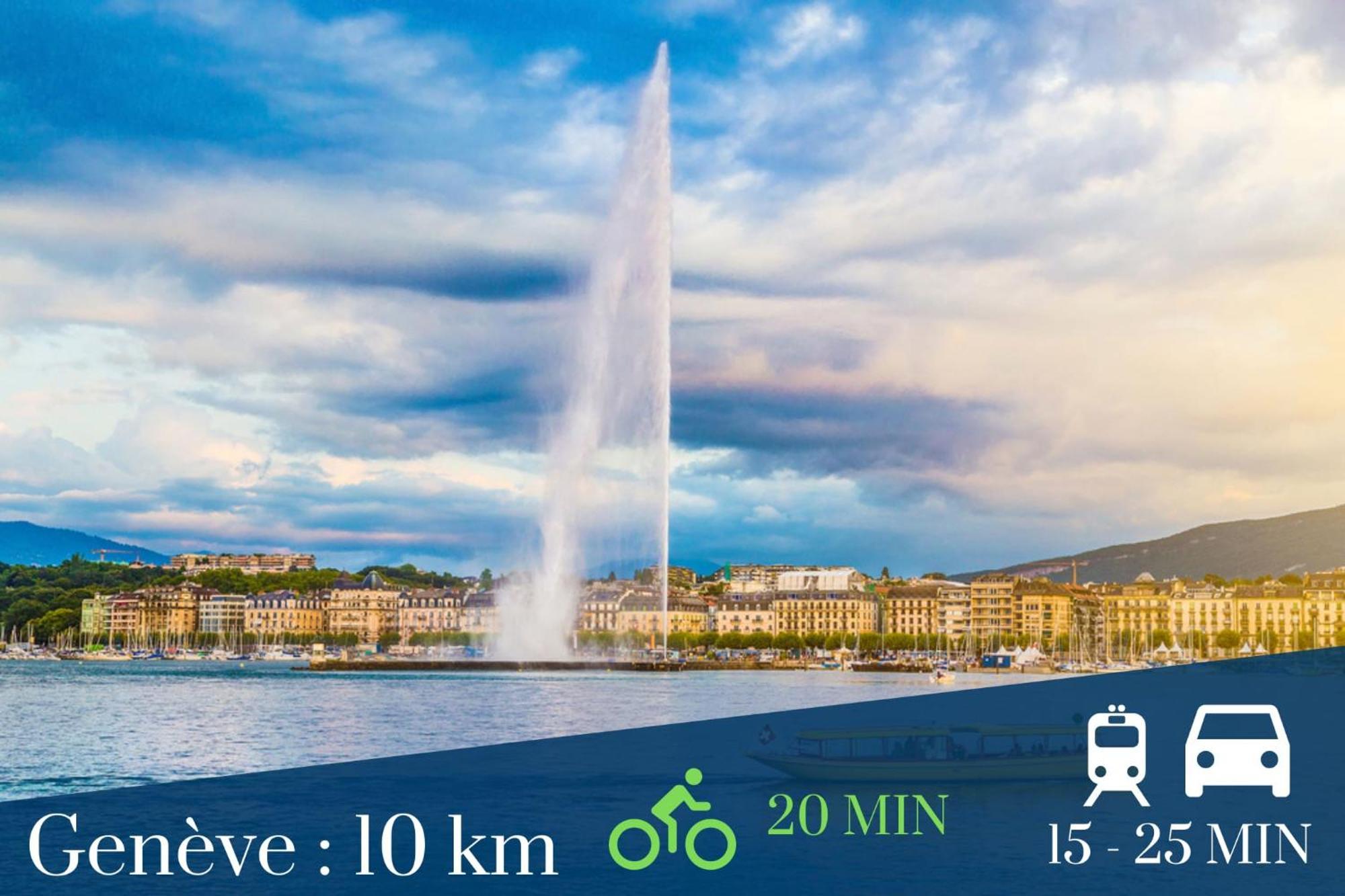 Homey Keola - Parking Prive Gratuit - Aux Portes De Geneve - Au Pied Du Tram - Appartement Avec 1 Chambre Et Un Grand Salon Avec Un Canape-Lit Ambilly Dış mekan fotoğraf